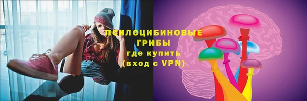 ешки Нефтегорск