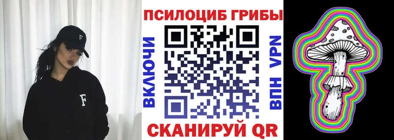 где можно купить наркотик Смоленск Псилоцибиновые грибы MAGIC MUSHROOMS