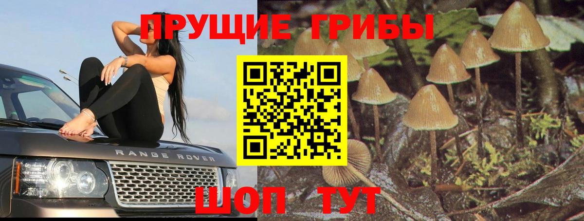 Псилоцибиновые грибы Magic Shrooms  Вход с VPN  Смоленск 